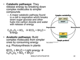 • Catabolic pathways: They
  release energy by breaking down
  complex molecules to simpler
  compounds
   – A major catabolic pathway found
     in a cell is respiration which breaks
     down sugar glucose and other
     fuels into carbon dioxide and water
     with release of energy

   C6H12O6 + 6O2       6CO2 + 6H2O +
     Energy
• Anabolic pathways: Build
  complex molecules from simpler
  ones by consuming energy
  e.g. Photosynthesis in plants
  6CO2 + 6H2O + Light energy
  C6H12O6 + 6O2 + 6H2O
                         BISEL07-SITH/ITB-MIT/IR   22
 