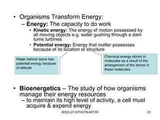 • Organisms Transform Energy:
   – Energy: The capacity to do work
        • Kinetic energy: The energy of motion possessed by
          all moving objects e.g. water gushing through a dam
          turns turbines
        • Potential energy: Energy that matter possesses
          because of its location or structure
                                                     Chemical energy stored in
Water behind dams has                                molecules as a result of the
potential energy because                             arrangement of the atoms in
of altitude                                          these molecules




• Bioenergetics – The study of how organisms
  manage their energy resources
   – to maintain its high level of activity, a cell must
     acquire & expend energy
                           BISEL07-SITH/ITB-MIT/IR                             23
 