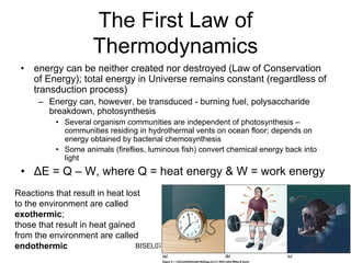 The First Law of
                     Thermodynamics
 •   energy can be neither created nor destroyed (Law of Conservation
     of Energy); total energy in Universe remains constant (regardless of
     transduction process)
      – Energy can, however, be transduced - burning fuel, polysaccharide
        breakdown, photosynthesis
           • Several organism communities are independent of photosynthesis –
             communities residing in hydrothermal vents on ocean floor; depends on
             energy obtained by bacterial chemosynthesis
           • Some animals (fireflies, luminous fish) convert chemical energy back into
             light
 • ΔE = Q – W, where Q = heat energy & W = work energy
Reactions that result in heat lost
to the environment are called
exothermic;
those that result in heat gained
from the environment are called
endothermic                      BISEL07-SITH/ITB-MIT/IR                                 25
 