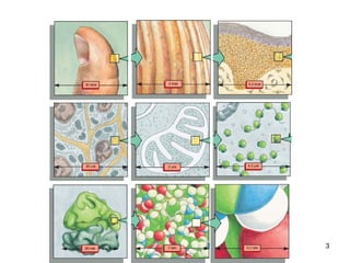 BISEL07-SITH/ITB-MIT/IR   3
 