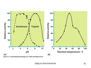 BISEL07-SITH/ITB-MIT/IR   32
 