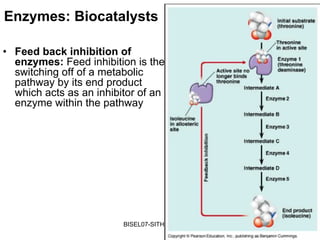 Enzymes: Biocatalysts

• Feed back inhibition of
  enzymes: Feed inhibition is the
  switching off of a metabolic
  pathway by its end product
  which acts as an inhibitor of an
  enzyme within the pathway




                         BISEL07-SITH/ITB-MIT/IR   34
 