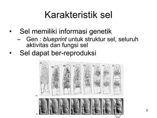 Karakteristik sel
•   Sel memiliki informasi genetik
    – Gen : blueprint untuk struktur sel, seluruh
      aktivitas dan fungsi sel
•   Sel dapat ber-reproduksi




                    BISEL07-SITH/ITB-MIT/IR         5
 