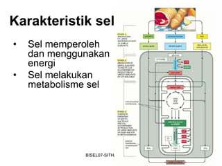 Karakteristik sel
•   Sel memperoleh
    dan menggunakan
    energi
•   Sel melakukan
    metabolisme sel




              BISEL07-SITH/ITB-MIT/IR   6
 