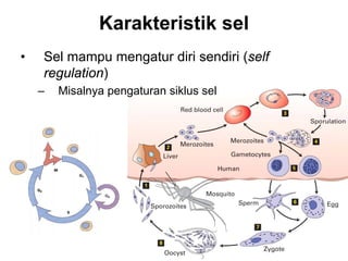 Karakteristik sel
•   Sel mampu mengatur diri sendiri (self
    regulation)
    –   Misalnya pengaturan siklus sel




                      BISEL07-SITH/ITB-MIT/IR   8
 