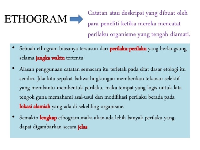 Pendekatan etologi