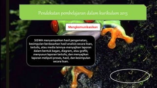 Mengkomunikasikan
Pendekatan pembelajaran dalam kurikulum 2013
SISWA menyampaikan hasil pengamatan,
kesimpulan berdasarkan hasil analisis secara lisan,
tertulis, atau media lainnya-menyajikan laporan
dalam bentuk bagan, diagram, atau grafik;
menyusun laporan tertulis; dan menyajikan
laporan meliputi proses, hasil, dan kesimpulan
secara lisan.
 