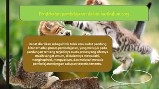 Dapat diartikan sebagai titik tolak atau sudut pandang
kita terhadap proses pembelajaran, yang merujuk pada
pandangan tentang terjadinya suatu prosesyang sifatnya
masih sangat umum, di dalamnya mewadahi,
menginspirasi, menguatkan, dan melatari metode
pembelajaran dengan cakupan teoretis tertentu.
Pendekatan pembelajaran dalam kurikulum 2013
 