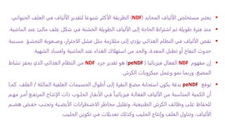 
‫المحايد‬ ‫الألياف‬ ‫مستخلص‬ ‫يعتبر‬
(
NDF
)
‫العلف‬ ‫في‬ ‫الألياف‬ ‫لتقدير‬ ‫شيوعا‬ ‫الأكثر‬ ‫الطريقة‬
‫الحيو‬
‫اني‬
.

‫منذ‬
‫عن‬ ‫مالئ‬ ‫علف‬ ‫شكل‬ ‫في‬ ‫الخشنة‬ ‫الطويلة‬ ‫الألياف‬ ‫إلى‬ ‫الحاجة‬ ‫اشتراط‬ ‫تم‬ ‫طويلة‬ ‫فترة‬
‫الماشية‬ ‫د‬
.

‫نقص‬
‫التجشا‬ ‫وصاعوبة‬ ،‫الاجترار‬ ‫فشل‬ ‫مثل‬ ‫متلازمة‬ ‫إلى‬ ‫يؤدي‬ ‫الغذائي‬ ‫النظام‬ ‫في‬ ‫الألياف‬
‫مساببة‬ ‫ؤ‬
‫الشهية‬ ‫وافساد‬ ‫الماشية‬ ‫عند‬ ‫الغذاء‬ ‫استهلاك‬ ‫من‬ ‫والحد‬ ،‫المعدة‬ ‫تطبل‬ ‫أو‬ ‫النفاخ‬ ‫حدوث‬
.

‫إن‬
‫مفهوم‬
NDF
‫الفعال‬
‫فيزيائيا‬
(
peNDF
)
‫هو‬
‫جزء‬ ‫تقدير‬
NDF
‫من‬
‫نشاط‬ ‫يحفز‬ ‫الذي‬ ‫الغذائي‬ ‫النظام‬
‫الكرش‬ ‫ميكروبات‬ ‫وعمل‬ ‫نمو‬ ‫وربما‬ ،‫المضغ‬
.

‫توقع‬
peNDF
‫بدقة‬
‫مضغ‬ ‫استجابة‬ ‫يكون‬
‫البقرة‬
‫إلى‬
‫الجسيمات‬ ‫أطوال‬
‫المالئة‬ ‫العلفية‬
/
‫ال‬
‫علف‬
.
‫كماا‬
‫المر‬ ‫الإنتااج‬ ‫ذات‬ ‫الحلاوب‬ ‫الأبقاار‬ ‫فاي‬ ً‫ا‬‫فيزيائيا‬ ‫الفعالاة‬ ‫الألياف‬ ‫من‬ ‫المناسبة‬ ‫الكمية‬ ‫أن‬
‫مهام‬ ‫أمار‬ ‫تفاع‬
‫خفا‬ ‫وتجناب‬ ‫الأيضاية‬ ‫الاضاطرابات‬ ‫مخاطر‬ ‫وتقليل‬ ،‫الطبيعية‬ ‫الكرش‬ ‫وظائف‬ ‫على‬ ‫للحفاظ‬
‫هضام‬ ‫ض‬
‫الحليب‬ ‫تكوين‬ ‫في‬ ‫تعديلات‬ ‫وكذلك‬ ‫الحليب‬ ‫وإنتاج‬ ‫العلف‬ ‫وتناول‬ ،‫الألياف‬
.
 