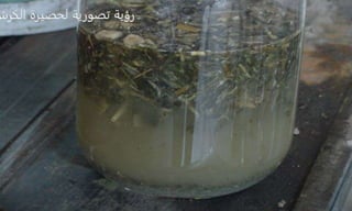 ‫الكرش‬ ‫لحصيرة‬ ‫تصورية‬ ‫رؤية‬
 