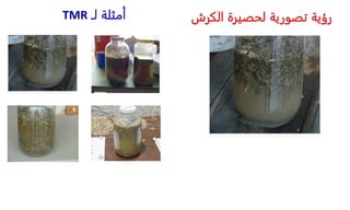 ‫الكرش‬ ‫لحصيرة‬ ‫تصورية‬ ‫رؤية‬
‫لا‬ ‫أمثلة‬
TMR
 