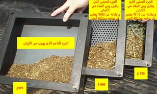 125
‫غ‬
600
‫غ‬
375
‫غ‬
‫الكرش‬ ‫من‬ ‫يهرب‬ ‫الذي‬ ‫الناعم‬ ‫الجزء‬
‫الذي‬ ‫الخشن‬ ‫الجزء‬
‫في‬ ‫البقاء‬ ‫زمن‬ ‫يطيل‬
‫الكرش‬
‫عن‬ ‫وزيادته‬
15
%
‫يعني‬
‫الفرز‬ ‫مشكلة‬ ‫نواجه‬ ‫قد‬
‫الذي‬ ‫الخشن‬ ‫الجزء‬
‫في‬ ‫البقاء‬ ‫زمن‬ ‫يطيل‬
‫الكرش‬
‫عن‬ ‫وزيادته‬
60
%
‫يعني‬
‫أيضا‬ ‫مشكلة‬ ‫نواجه‬ ‫قد‬
 