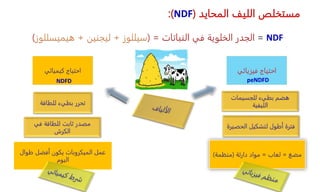 ‫المحايد‬ ‫الليف‬ ‫مستخلص‬
(
NDF
:)
NDF
=
‫النباتات‬ ‫في‬ ‫الخلوية‬ ‫الجدر‬
( =
‫سيللوز‬
+
‫ليجنين‬
+
‫هيميسللوز‬
)
‫فيزيائي‬ ‫احتياج‬
‫كيميائي‬ ‫احتياج‬
‫للجسيمات‬ ‫بطيء‬ ‫هضم‬
‫الليفية‬
‫للطاقة‬ ‫بطيء‬ ‫تحرر‬
‫الحصيرة‬ ‫لتشكيل‬ ‫أطول‬ ‫فترة‬
‫مضغ‬
=
‫لعاب‬
=
‫مواد‬
‫دارئة‬
(
‫منظمة‬
)
‫في‬ ‫للطاقة‬ ‫ثابت‬ ‫مصدر‬
‫الكرش‬
‫طوال‬ ‫أفضل‬ ‫يكون‬ ‫الميكروبات‬ ‫عمل‬
‫اليوم‬
NDFD peNDFD
 