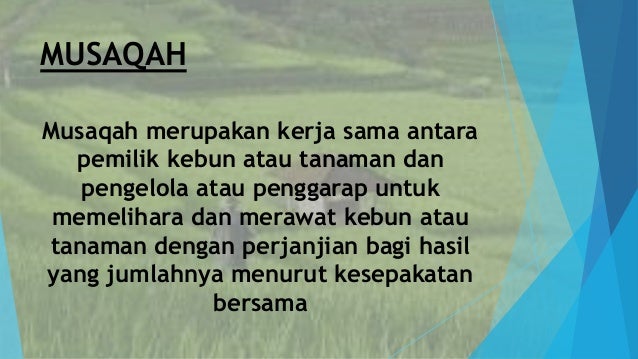 Pendidikan Agama Islam Mudarobah