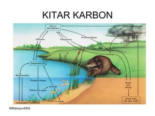 KITAR KARBON




RM/jks/jun2004
 