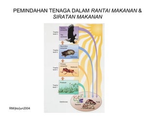 PEMINDAHAN TENAGA DALAM RANTAI MAKANAN &
              SIRATAN MAKANAN




RM/jks/jun2004
 