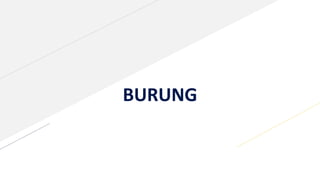 BURUNG