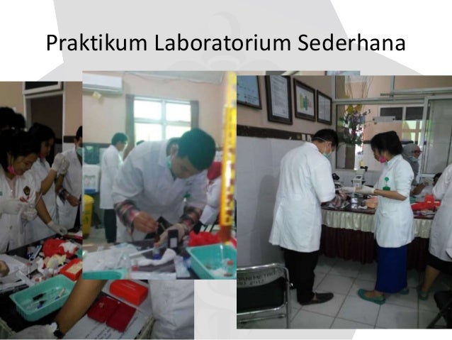 Pendidikan koasisten ipd