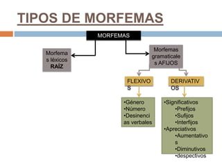 TIPOS DE MORFEMAS
MORFEMAS
Morfema
s léxicos
RAÍZ
Morfemas
gramaticale
s AFIJOS
FLEXIVO
S
DERIVATIV
OS
•Género
•Número
•Desinenci
as verbales
•Significativos
•Prefijos
•Sufijos
•Interfijos
•Apreciativos
•Aumentativo
s
•Diminutivos
•despectivos
 