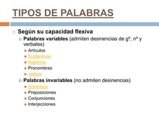TIPOS DE PALABRAS
 Según su capacidad flexiva
 Palabras variables (admiten desinencias de gº, nº y
verbales)
 Artículos
 Sustantivos
 Adjetivos
 Pronombres
 verbos
 Palabras invariables (no admiten desinencias)
 Adverbios
 Preposiciones
 Conjunciones
 Interjecciones
 