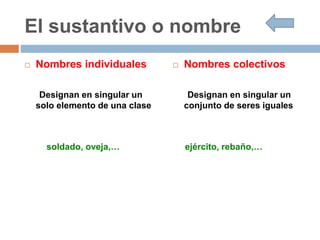 El sustantivo o nombre
 Nombres individuales
Designan en singular un
solo elemento de una clase
soldado, oveja,…
 Nombres colectivos
Designan en singular un
conjunto de seres iguales
ejército, rebaño,…
 