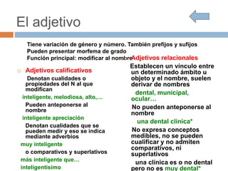Tiene variación de género y número. También prefijos y sufijos
Pueden presentar morfema de grado
Función principal: modificar al nombre
 Adjetivos calificativos
Denotan cualidades o
propiedades del N al que
modifican
inteligente, melodiosa, alto,…
Pueden anteponerse al
nombre
inteligente apreciación
Denotan cualidades que se
pueden medir y eso se indica
mediante adverbios
muy inteligente
o comparativos y superlativos
más inteligente que…
inteligentísimo
 Adjetivos relacionales
Establecen un vínculo entre
un determinado ámbito u
objeto y el nombre, suelen
derivar de nombres
dental, municipal,
ocular…
No pueden anteponerse al
nombre
una dental clínica*
No expresa conceptos
medibles, no se pueden
cualificar y no admiten
comparativos, ni
superlativos
una clínica es o no dental
pero no es muy dental*
El adjetivo
 