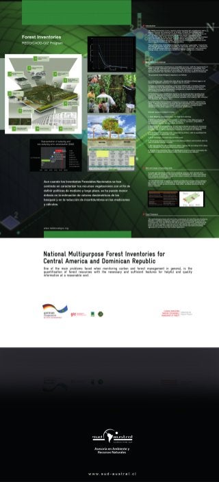 Infographics explaining multiple-purpose national forest inventories for Central America and the Dominican Republic