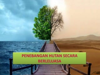 Penebangan hutan