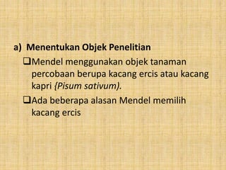 a) Menentukan Objek Penelitian
Mendel menggunakan objek tanaman
percobaan berupa kacang ercis atau kacang
kapri {Pisum sativum).
Ada beberapa alasan Mendel memilih
kacang ercis
 