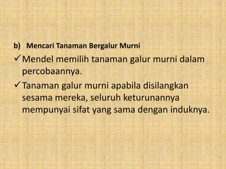 b) Mencari Tanaman Bergalur Murni
Mendel memilih tanaman galur murni dalam
percobaannya.
Tanaman galur murni apabila disilangkan
sesama mereka, seluruh keturunannya
mempunyai sifat yang sama dengan induknya.
 