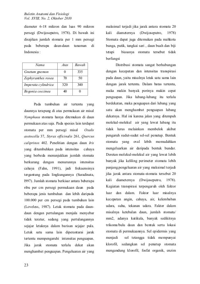 Penelitian pendistribusian jumlah stomata pada tumbuhan