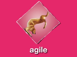 agile
 