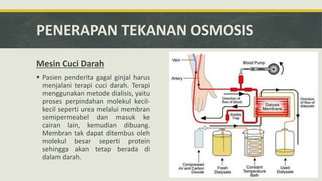 PENERAPAN SIFAT KOLIGATIF LARUTAN DALAM KEHIDUPAN SEHARI HARI KIMIA 