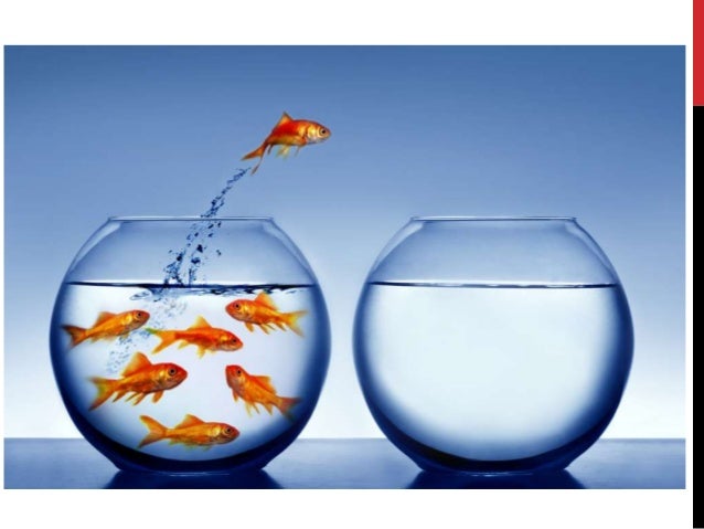 Penerapan model bisnis canvas untuk membedah bisnis kita