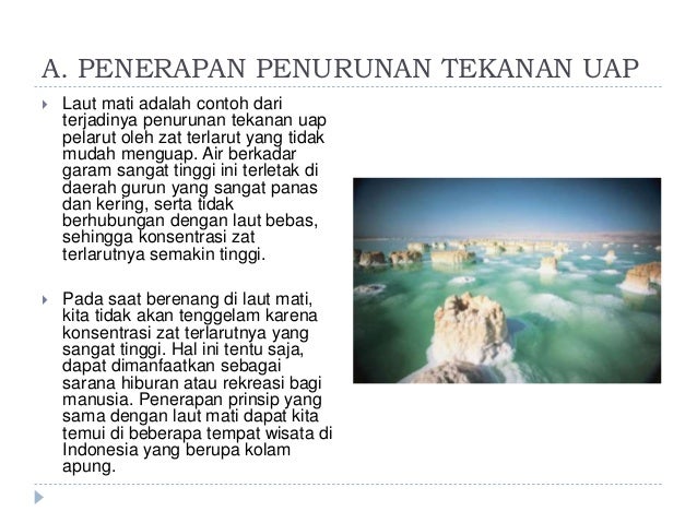 Buatlah Contoh Perilaku Istiqamah Dalam Kehidupan Sehari Hari