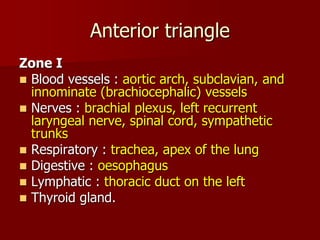 Anterior triangle
Zone I
 Blood vessels : aortic arch, subclavian, and
innominate (brachiocephalic) vessels
 Nerves : brachial plexus, left recurrent
laryngeal nerve, spinal cord, sympathetic
trunks
 Respiratory : trachea, apex of the lung
 Digestive : oesophagus
 Lymphatic : thoracic duct on the left
 Thyroid gland.
 