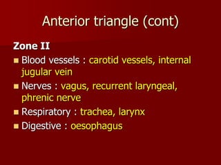Anterior triangle (cont)
Zone II
 Blood vessels : carotid vessels, internal
jugular vein
 Nerves : vagus, recurrent laryngeal,
phrenic nerve
 Respiratory : trachea, larynx
 Digestive : oesophagus
 