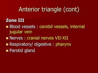 Anterior triangle (cont)
Zone III
 Blood vessels : carotid vessels, internal
jugular vein
 Nerves : cranial nerves VII-XII
 Respiratory/ digestive : pharynx
 Parotid gland
 