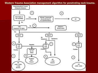 Western Trauma Association management algorithm for penetrating neck trauma.
 