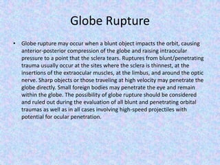 Globe RuptureGlobe rupture may occur when a blunt object impacts the orbit, causing anterior-posterior compression of the globe and raising intraocular pressure to a point that the sclera tears. Ruptures from blunt/penetrating trauma usually occur at the sites where the sclera is thinnest, at the insertions of the extraocular muscles, at the limbus, and around the optic nerve. Sharp objects or those traveling at high velocity may penetrate the globe directly. Small foreign bodies may penetrate the eye and remain within the globe. The possibility of globe rupture should be considered and ruled out during the evaluation of all blunt and penetrating orbital traumas as well as in all cases involving high-speed projectiles with potential for ocular penetration.