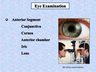 Eye ExaminationAnterior Segment          Conjunctiva          Cornea          Anterior chamber          Iris           LensSlit lamp examination