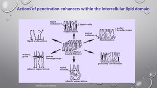 5
Actions of penetration enhancers within the intercellular lipid domain
VNS Group of Institutes
 
