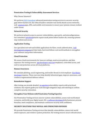 Penetration Testing & Vulnerability Assessment Services | PDF