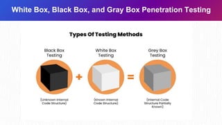 Pent Types Penetration Testing for Cybersecurity Professionals | PPTX