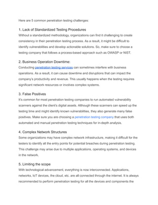 Penetration Testing Services_ Comprehensive Guide 2024.pdf