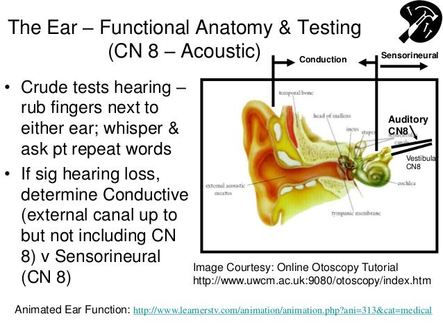 weber tuning fork conductive hearing loss