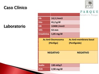 Hb 14,3 /mm3
Hto 41,2 g/dl
GB 12400 /mm3
VES 53 mm
Creatinina 1,05 mg/dl
Glicemia 189 mg/dl
Urea 36 mg/dl
Calcio 9,1 mg/dl
Magnesio 1,83 mg/dl
Potasio 3,06 mEq/l
Sodio 130 mEq/l
PCR 2,90 mg/dl
Ac Anti-Desmosoma
(Pénfigo)
Ac Anti-membrana basal
(Penfigoide)
NEGATIVO NEGATIVO
Caso Clínico
Laboratorio
 