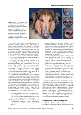 Superﬁcial pemphigus in domestic animals




Figure 21. canine ‘PE’. A 2-year-old collie
presented with a pustular, erosive and
crusting dermatosis bilaterally and
symmetrically distributed to the face (left)
and ears. Additionally, there were
depigmenting atrophic scars, erosions and
crusts on the dorsal nasal planum (right,
top) as well as depigmentation, scarring
and deep erosions/ulcers on the ventral
nares (right, middle and bottom).
Histological and immunological
characteristics resembled those previously
reported for canine PE.



   On direct IF examination, skin biopsy specimens of                 3 Superﬁcial acantholytic epidermal pustules are seen
canine and feline PE uniquely exhibit both intercellular                in both canine PF and PE, while the presence of a
epidermal pemphigus-like and basement membrane                          lichenoid ± interface dermatitis in the latter may only
lupus-like depositions of immunoglobulins with or without               reﬂect the nasal/paranasal location of skin biopsies in
activated complement.6 Of note is that not all dogs with                dogs with PE. Indeed, dogs with various nasal derm-
PE will have this basement membrane immunoreagent                       atoses often exhibit a band-like diffuse superﬁcial
deposition.6,85 Indirect IF performed with canine and feline            plasmacytic to lymphoplasmacytic dermatitis with or
PE sera has remained negative for all patients tested.6,85              without basal cell damage.92
In contrast, low serum titres of antinuclear antibodies               4 The observation of immunoglobulins and complement
(1 : 10 –1 : 40) have been identiﬁed in approximately half              at the basement membrane zone by direct IF is not
of sera from dogs with PE.6,85                                          speciﬁc for lupus, as it is seen also in canine PF and
   The treatment outcome of canine and feline PE is                     numerous other immune-mediated skin diseases.53,93
reported to be good, with lesions responding to immuno-                 Moreover, serum antibasement membrane autoanti-
suppressive regimens used to treat patients with PF.6 In                bodies can be detected in some dogs with PF.58
one of two dogs with PE, the administration of a tetracycline         5 The presence of low serum titres of antinuclear anti-
and niacinamide regimen resulted in a partial resolution of             bodies in dogs with PE is not unique to this entity
clinical signs.70 The use of sun avoidance and sunscreens               because of the recent observation that nearly 30% of
has been advocated.6 Finally, topical treatment with 0.1%               dogs with various phenotypes of PF also exhibit low
tacrolimus ointment was reported to be of beneﬁt, as an                 titres of serum IgG targeting nuclear antigens.58
adjunct medication, in two dogs with PE.89                            6 Finally, PE cannot be individualized from PF on the
   In summary, the rare descriptions of canine and feline               basis of differing treatment outcomes as a favourable
PE published since 1980 have implied that this disease                  response to treatment is seen both in dogs with PE and
represented an unusual facial-predominant dermatosis with               in canine patients with localized or generalized PF.7
clinical, histopathological and immunopathological charac-
teristics of both PF and DLE. As a result, the current dogma          In summary, at this time, there is insufﬁcient evidence
is that PE might be a crossover between these two entities.        supporting that canine PE is markedly different from local-
   This concept must be considered controversial, how-             ized facial PF either clinically, histologically, immunologi-
ever. Indeed, the rationale for previous individualization         cally or prognostically. Additional studies are needed to
of canine PE as an entity distinct from PF needs to be re-         determine whether there would be any value – for either
examined in light of recent knowledge suggesting that              patients or clinicians – in individualizing canine PE as a
both diseases exhibit very similar characteristics:                separate entity, whether it should be reclassiﬁed as a
                                                                   localized variant of PF, or whether it is a genuine crossover
  1 The predominance of skin lesions to the face is not            between PF and DLE or other entities. Similarly, there is
    unique to PE, as facial lesions are identiﬁed also in          not enough information on feline PE and PF to permit an
    most dogs with PF, and they are restricted to this area        accurate separation between these two diseases.
    in 16% of canine patients with this disease.7
  2 Photosensitivity is not speciﬁc for canine PE, as pre-
    liminary evidence suggests that this phenomenon                Panepidermal pustular pemphigus
    exists also for canine PF (see discussion in the PF            In 1994, Wurm, Mattise and Dunstan proposed the crea-
    section).                                                      tion of a new entity named ‘canine panepidermal pustular


© 2006 The Author. Journal compilation © 2006 European Society of Veterinary Dermatology.                                   301
 