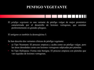 PENFIGO VEGETANTE
El pénfigo vegetante es una variante de pénfigo vulgar de mejor pronóstico
caracterizada por el desarrollo de lesiones verrugosas, que asientan
preferentemente en grandes pliegues.
El antígeno es también la desmogleina-3.
Se han descrito dos variantes clínicas de pénfigo vegetante:
• a) Tipo Neumann: El proceso empieza y acaba como un pénfigo vulgar, pero
las áreas denudadas curan con lesiones verrugosas salpicadas por pústulas.
• b) Tipo Hallopeau: Forma más benigna. El proceso empieza con pústulas que
van seguidas de lesiones verrugosas.
 