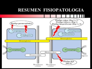 RESUMEN FISIOPATOLOGIA
 